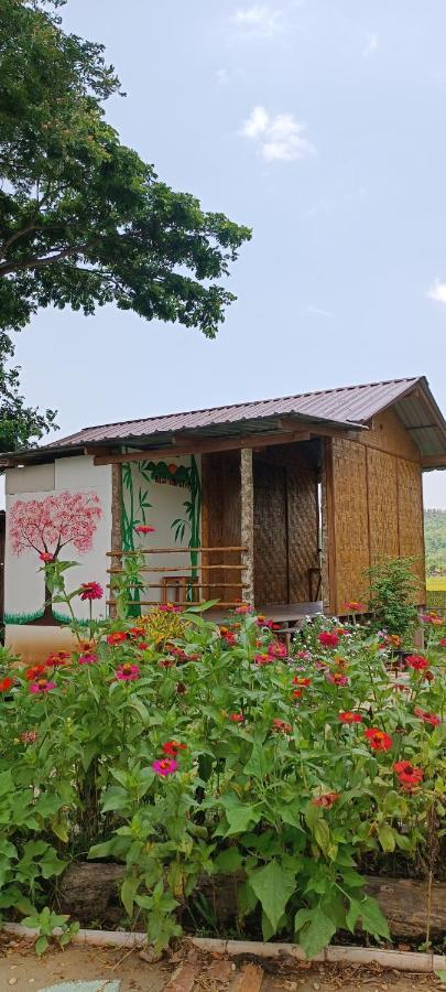 Kaewma Farmstay Khuang Kom Экстерьер фото