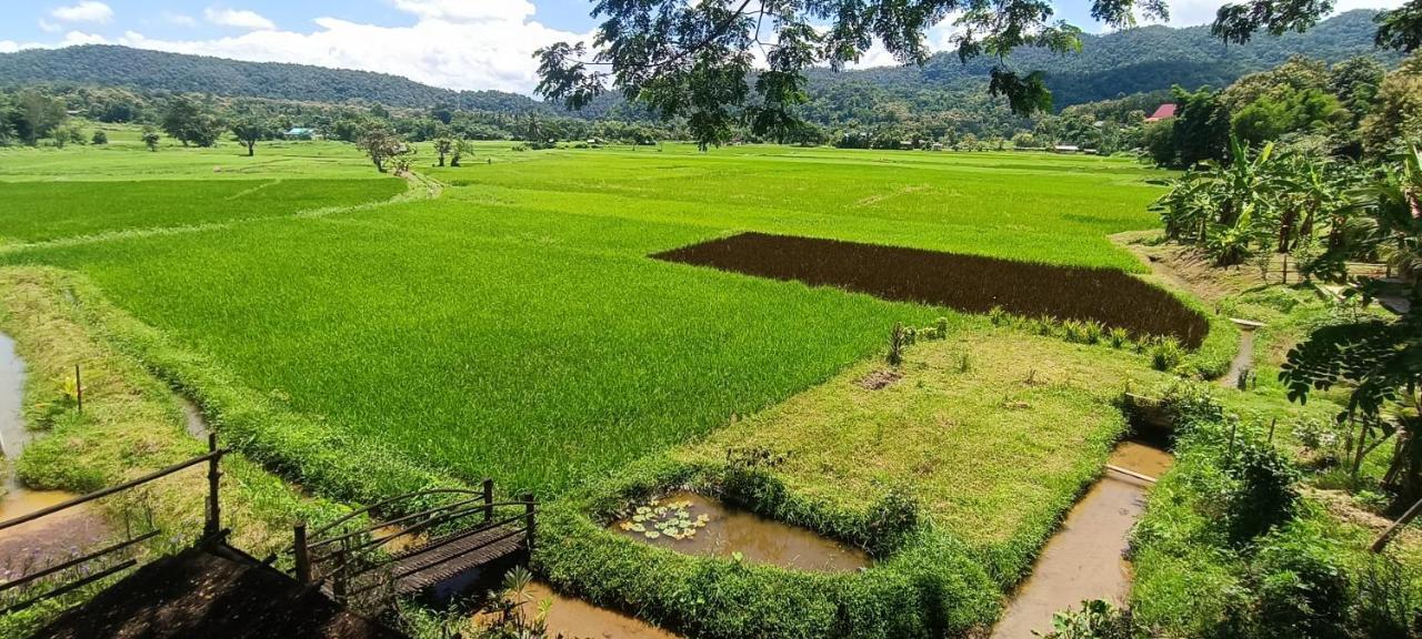 Kaewma Farmstay Khuang Kom Экстерьер фото