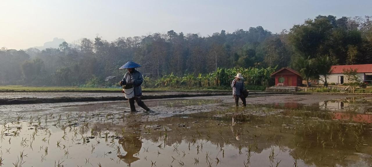 Kaewma Farmstay Khuang Kom Экстерьер фото