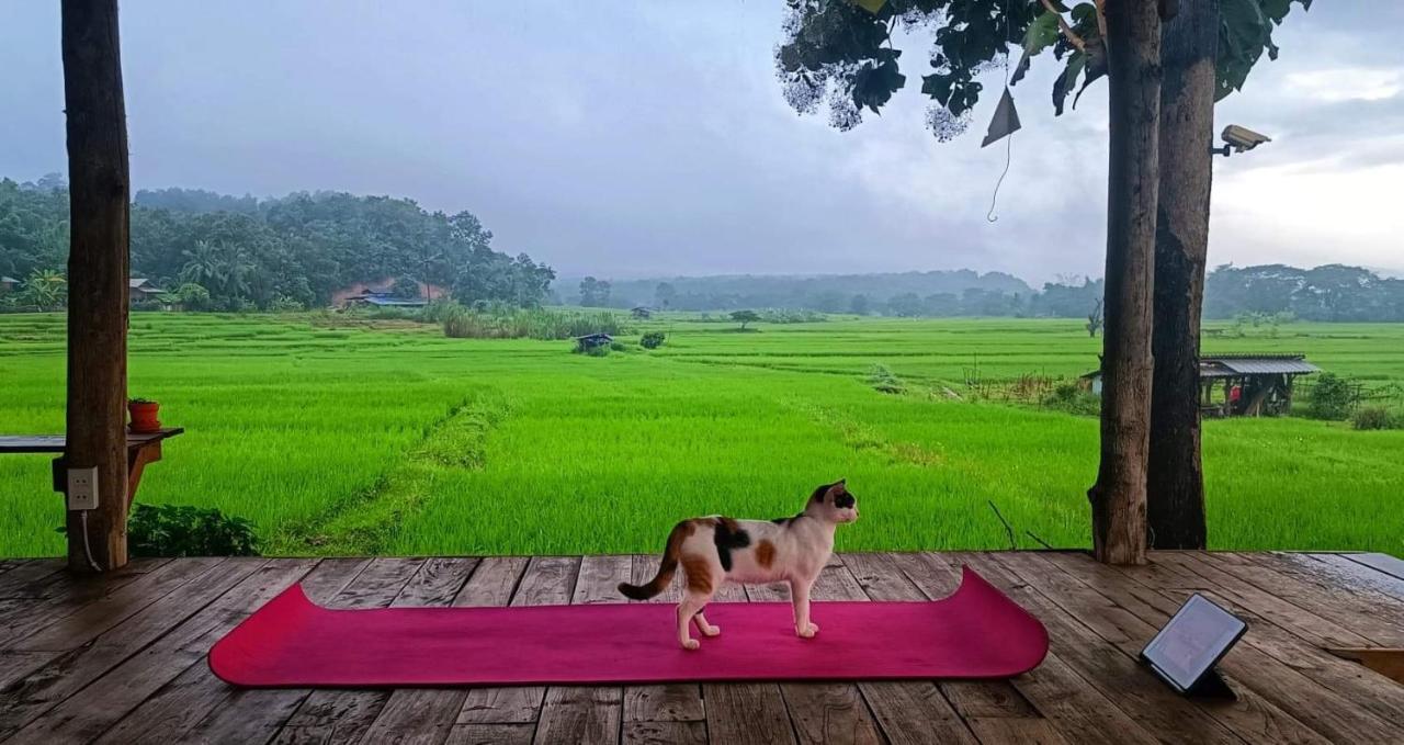 Kaewma Farmstay Khuang Kom Экстерьер фото