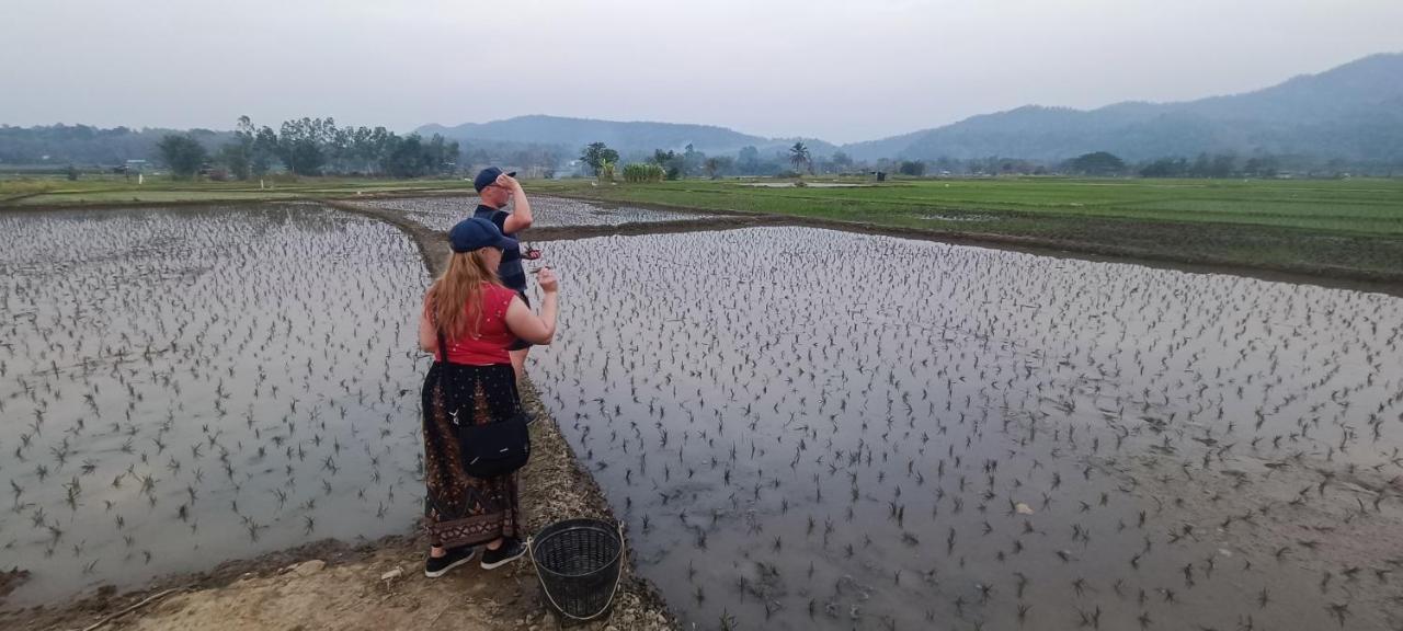 Kaewma Farmstay Khuang Kom Экстерьер фото